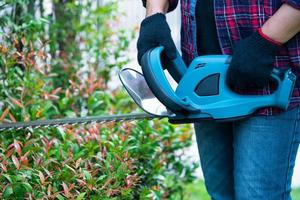 Gardener holding electric hedge trimmer to cut the treetop in garden. photo