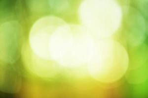 Natural green defocus light nature abstract background. photo