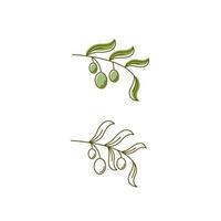 Olive icon vector illustration design