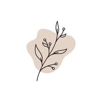 Beauty florist vector icon design