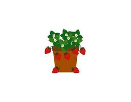 Vector strawberry, flower, leaf In a pot on a white background.