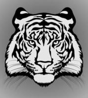 Tiger head. Tiger head isolated on background. vector