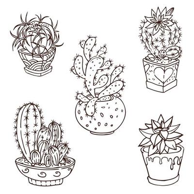 Set of cacti in decorated pots.