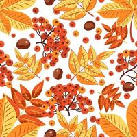 Autumn seamless pattern of red rowan berries and yellow leaves and fruits of chestnut vector