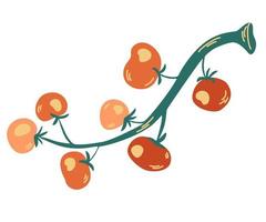 Tomatoes on a branch. Red cherry tomato composition. Healthy foods. Vegetables. Vector cartoon illustration. Isolate on a white background.