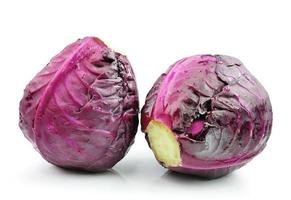 red cabbage on white background photo