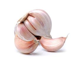Garlic isolated on white background photo