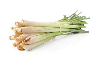 lemongrass isoleted on white background photo