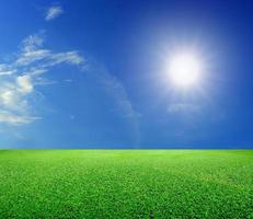 Green grass and sun under the blue sky photo