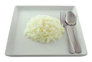 rice in white plate. photo