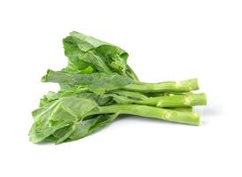 Chinese kale vegetable on white photo