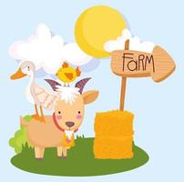 farm animals goose chicken in goat hay with arrow sign cartoon vector