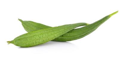 Fresh Angled luffa fruit on white background photo