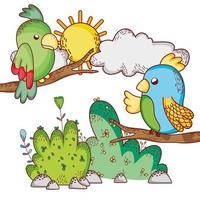 cute animals, parrots in branches tree sun cartoon vector