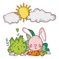 cute animals, rabbit with carrot bushes grass sun cartoon vector