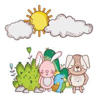 cute animals, rabbit dog and parrot sun cartoon vector