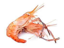 Boiled shrimp isolated on white background photo