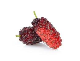 Mulberry isolated on white background photo