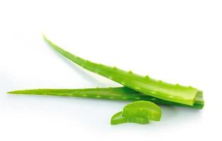 aloe vera fresh leaf. isolated over white photo