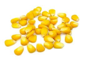 Sweet whole kernel corn photo