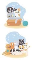 cats make me happy, cute cats in box with wool ball and different breeds vector