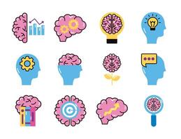 bundle of brains organs set icons vector