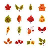 bundle of autumn leaves flat style in green background vector