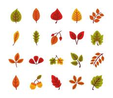 bundle of twenty autumn leaves flat style in cream background vector