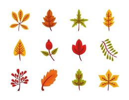 bundle of twelve autumn leaves flat style icons vector