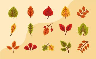 paquete de quince hojas de otoño iconos de estilo plano vector