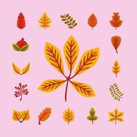 paquete de veinticinco hojas de otoño estilo plano vector