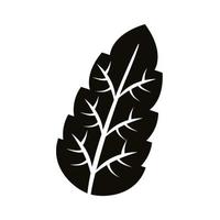 autum serrated leaf silhouette style icon vector