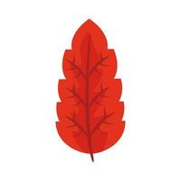 autum serrated leaf flat style icon vector