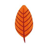 icono de estilo plano de hoja lanceolada de otoño vector