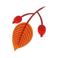 autum ovate leafs with grains flat style icon vector