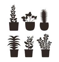 Isolated houseplants inside pots vector design