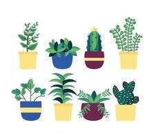 Plantas de interior aisladas dentro de macetas de diseño vectorial vector