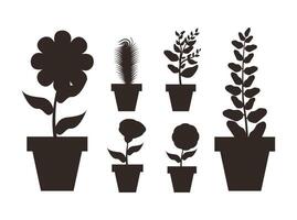 Isolated houseplants inside pots vector design