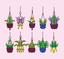 Isolated hanging houseplants inside pots vector design