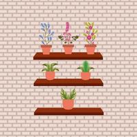 Isolated houseplants inside pots vector design