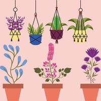 Isolated houseplants inside pots vector design