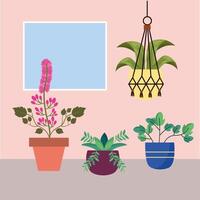 Isolated houseplants inside pots vector design