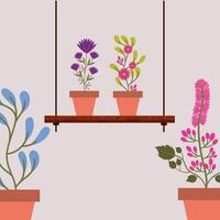 Isolated houseplants inside pots vector design