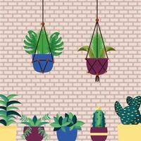 Isolated houseplants inside pots vector design