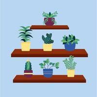 Isolated houseplants inside pots vector design