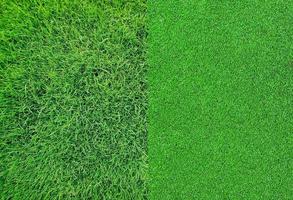 Green grass background texture photo