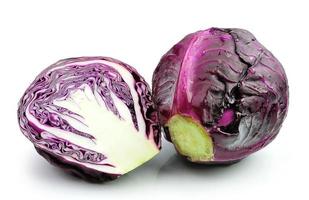 red cabbage on white background photo