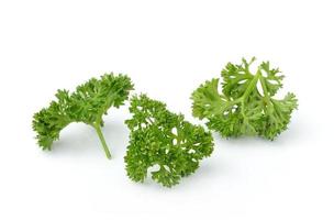 parsley isolated on white background photo