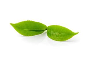 tea leaf isolated on white background photo