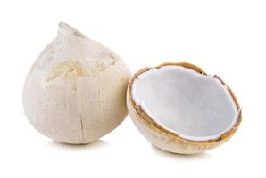 coconut on white background photo